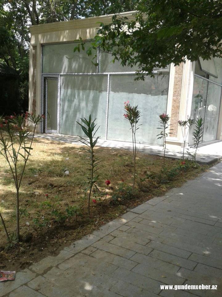 Talan edilmiş Nəsimi rayonu - FOTOFAKT
