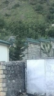 Zaqatala icra başçısının İlisudakı dəbdəbəli villası və Almaniyadan gətizdirdiyi itlər 