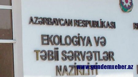 Daha bir direktor vəzifəsindən AZAD EDİLDİ