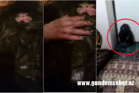 Azərbaycanda “Qar adamı” tutuldu – Dünya mediası reaksiya verdi – DƏHŞƏTLİ VİDEO