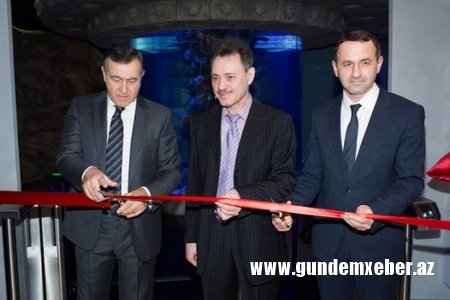 Araz Ağalarovun şərikinə 7 güllə vurdular