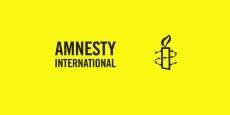 “Amnesty İnternational”dan Azərbaycana qarşı təxribat