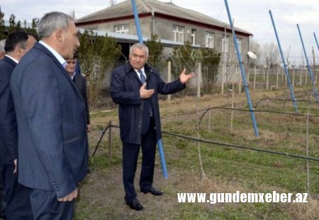 Ermənilərin öldürdüyü 2 yaşlı Zəhranın ailəsinin adından Prezident Administrasiyasına şikayət 