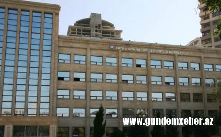 Nazirlik vəzifəli şəxsi cərimələdi