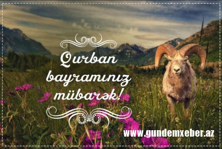 Bu gün Qurban bayramıdır