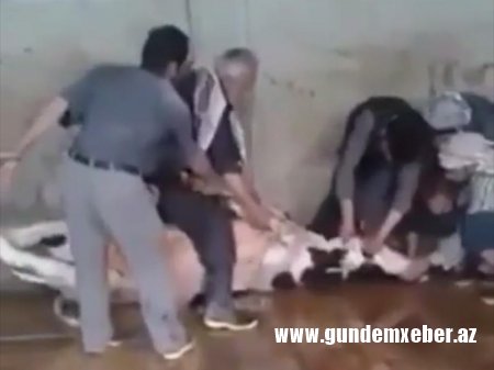 Qurban kəsərkən faciə - Kişinin başı partladı - VİDEO