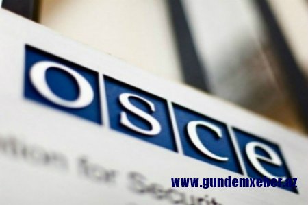 ATƏT Parlament Assamleyasının yeni prezidenti məlum olub