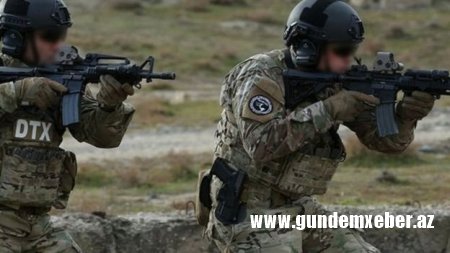 5 fotoda: Həbsxananın yazılmamış qanunları, siyasi heyvanlar, Fransada yağ qıtlığı və...