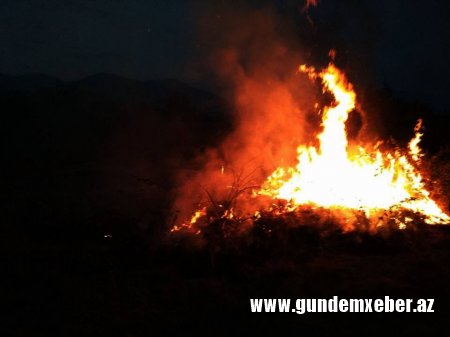 Daşkəsən rayonunda meşə ərazisində yanğın hadisəsi baş verib