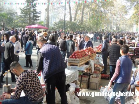 Nar festivalı başladı - FOTOLAR