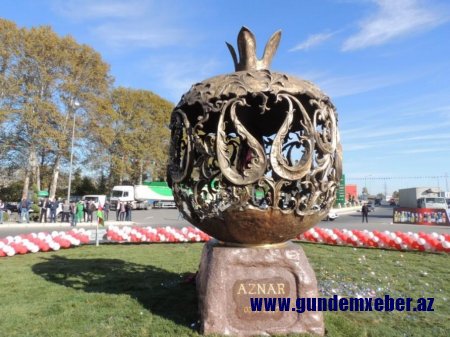 Nar festivalı başladı - FOTOLAR