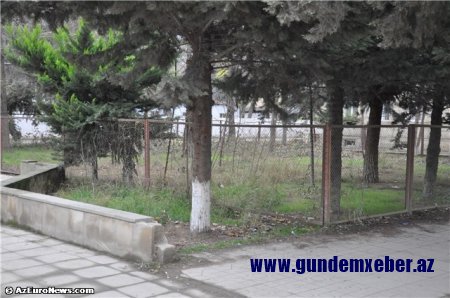 Xaçmazda məmur özbaşınalığı... - FOTOLAR