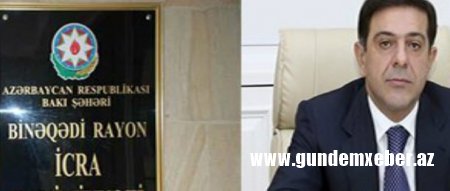 Binəqədi İcra başçısı ilə prokuror əlbəyaxa oldu: Zeytun bağı məhv edilir -FOTO