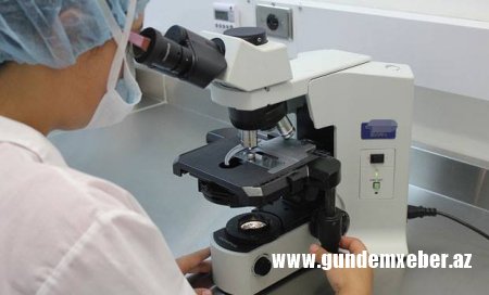 İsrail alimlərindən yeni kəşf — Xərçəng müalicəsində qızıldan istifadə ediləcək