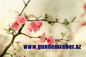 Azərbaycana yaz fəslinin gəlmə vaxtı açıqlandı