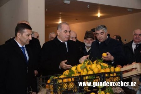 Göyçayda Səlim Mehdizadə zülmü davam edir - GİLEY
