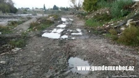 İsmayıllı və Ağsu meşələri soyqırıma məruz qalıb – Əlirza Əliyev isə “iş başında”