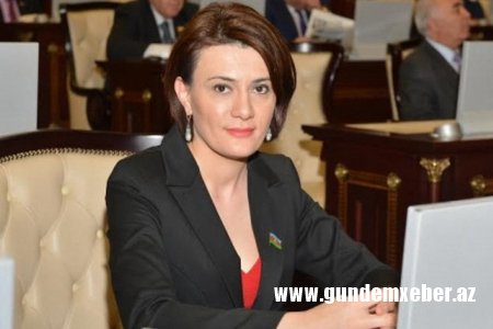 Xanım deputat anasını dəlixanaya saldırmaq istəyir - Biabırçı əmlak davası