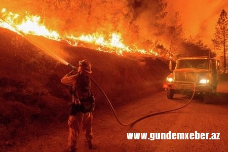 Gürcüstanın Borjomi bölgəsində meşə yanır