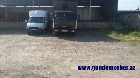 Söhrab Abbasovun rayonlarda himayə etdiyi mebel və yeşik sexində doğranan qiymətli ağaclar FOTOFAKT