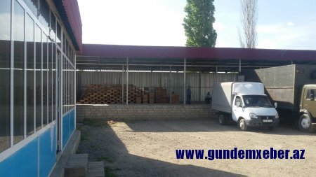 Söhrab Abbasovun rayonlarda himayə etdiyi mebel və yeşik sexində doğranan qiymətli ağaclar FOTOFAKT