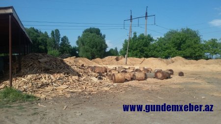 Söhrab Abbasovun rayonlarda himayə etdiyi mebel və yeşik sexində doğranan qiymətli ağaclar FOTOFAKT