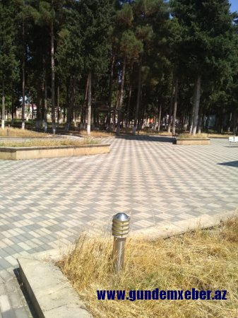Ənvər Seyidəliyev mədəniyyət və istirahət parkını bərbad vəziyyətə saldırıb- İYRƏNC MƏNZƏRƏ və FOTOLAR