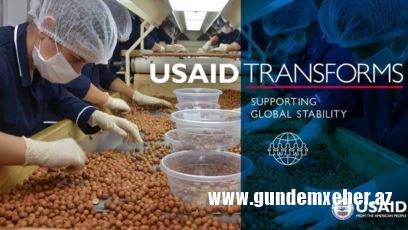 USAİD: Azərbaycan dünyada dördüncü böyük fındıq istehsalçısıdır