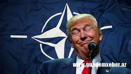 Tramp və NATO-ya qarşı aksiya