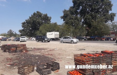 Şabranın icra başçısı bu xarabalıqdan nə qədər pul qazanır? - FOTOLAR Şabranın icra başçısı bu xarabalıqdan nə qədər pul qazanır? - FOTOLAR