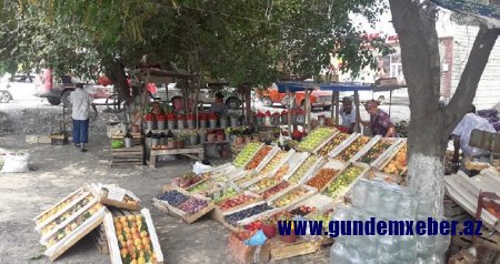 Şabranın icra başçısı bu xarabalıqdan nə qədər pul qazanır? - FOTOLAR Şabranın icra başçısı bu xarabalıqdan nə qədər pul qazanır? - FOTOLAR