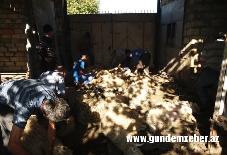 Prezidentin fermer təsərrüfatının inkişafına aid sərəncamlarına qarşı Qax Rayon İcra Başçısının atdığı addımlar təsərrüfatçıların etirazına səbəb oldu. - VİDEO və FOTOLAR Prezidentin fermer təsərrüfatının inkişafına aid sərəncamlarına qarşı Qax Rayon İcra Başçısının atdığı addımlar təsərrüfatçıların etirazına səbəb oldu. - VİDEO və FOTOLAR
