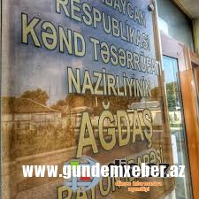 Ağdaşda məmur oğlunun toyunda QANLA BİTƏN DAVA - Rəis müavini bıçaqlandı