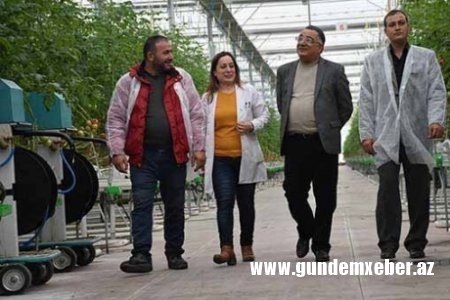 “Azərsun”un keçmiş vitse-prezidenti narazıdır - "25 MİLYONUM BATIR..."