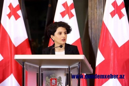 Gürcüstandakı prezident seçkiləri ilə bağlı 11 qanun pozuntusu, 171 şikayət qeydə alınıb