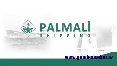 “Palmali” şirkətinin adı deputat oğlunun keçdiyi dələduzluq işində - İLGİNC