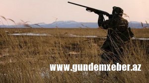Saatlıda qanunsuz ov edən 3 nəfər saxlanıldı
