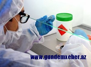 İsveç Ebola təhlükəsi ilə üz-üzə - TƏCİLİ YARDIM ŞÖBƏSİ BAĞLANDI