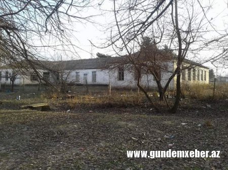 Ağstafanın Vurğun (Qrünfeld) kəndindən reportaj-FOTOLAR