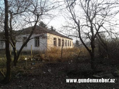 Ağstafanın Vurğun (Qrünfeld) kəndindən reportaj-FOTOLAR