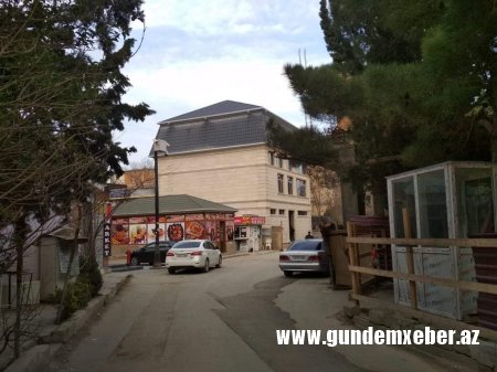 Asif Əsgərov Nəsimini “poliqona çevirib” - FOTOLAR  
