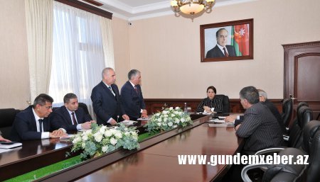 Xanım icra başçı vətəndaşların fərdi qəbulunu keçirdi