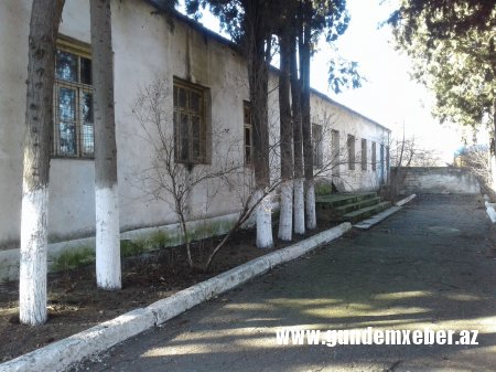 Ağstafanın Vurğun (Qrünfeld) kəndindən reportaj-FOTOLAR 