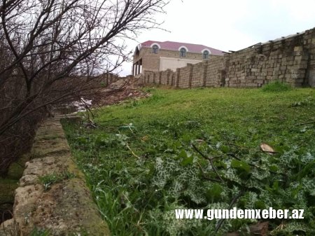 Seyid Ağanın nəvəsi ondan miras qalan əmlak üzərində haqqın bərpasını istəyir - FOTOLAR