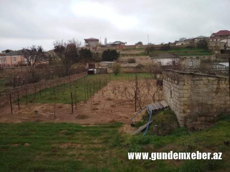 Seyid Ağanın nəvəsi ondan miras qalan əmlak üzərində haqqın bərpasını istəyir - FOTOLAR