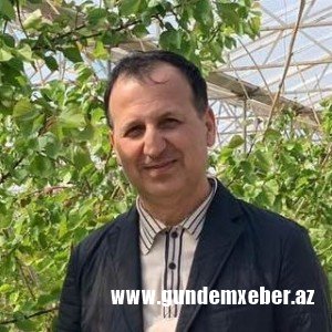 “Nazir qucağına dana da götürsə, xeyri yoxdur…” - Sahibkardan ittihamlar