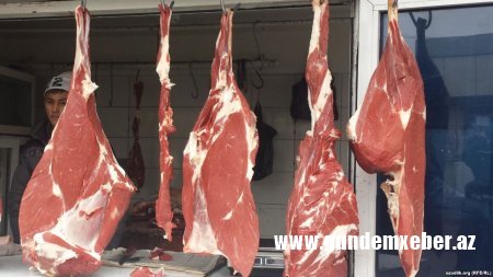 Azərbaycana kilosu 1000 dollara satılacaq ət gətiriləcək: - Bu inək bahalı pivə içir, masaj olunur