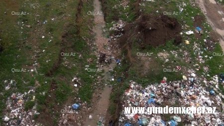 Belə bir biabırçı mənzərəni Tovuzun icra başçısı görməyə bilməz... - Yəqin adama ləzət eləyir...