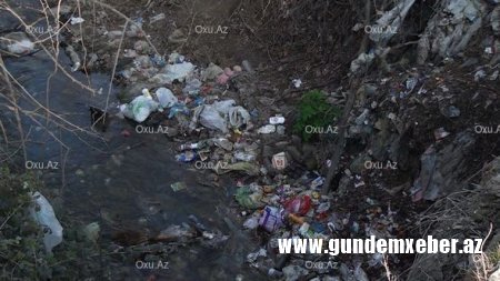 Belə bir biabırçı mənzərəni Tovuzun icra başçısı görməyə bilməz... - Yəqin adama ləzət eləyir...