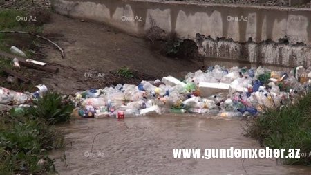 Belə bir biabırçı mənzərəni Tovuzun icra başçısı görməyə bilməz... - Yəqin adama ləzət eləyir...